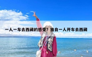 一人一車去西藏的感受？獨自一人開車去西藏