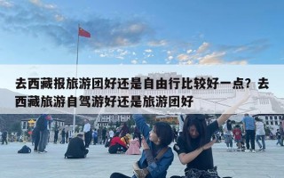 去西藏報旅游團好還是自由行比較好一點？去西藏旅游自駕游好還是旅游團好