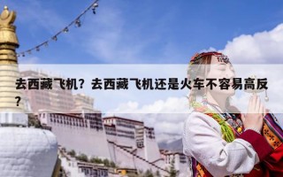 去西藏飛機？去西藏飛機還是火車不容易高反?