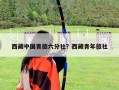 西藏中國青旅六分社？西藏青年旅社