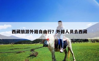 西藏旅游外籍自由行？外籍人員去西藏