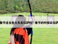 春節(jié)適合坐火車去拉薩嗎？春節(jié)的時(shí)候去拉薩