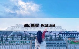 組團進藏？跟團進藏