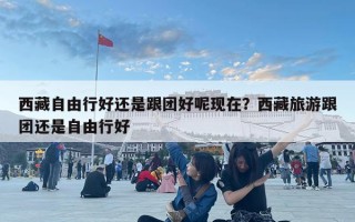 西藏自由行好還是跟團好呢現(xiàn)在？西藏旅游跟團還是自由行好