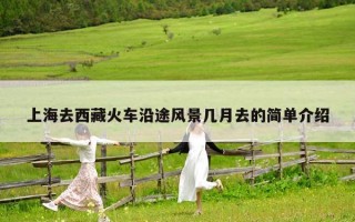上海去西藏火車沿途風景幾月去的簡單介紹