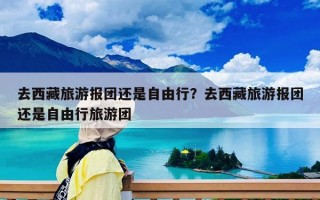 去西藏旅游報團(tuán)還是自由行？去西藏旅游報團(tuán)還是自由行旅游團(tuán)