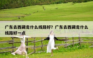 廣東去西藏走什么線路好？廣東去西藏走什么線路好一點