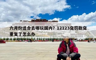 六月份適合去哪玩國內(nèi)？12123交罰款交重復(fù)了怎么辦