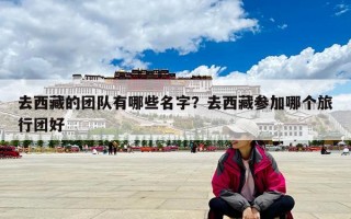 去西藏的團(tuán)隊(duì)有哪些名字？去西藏參加哪個(gè)旅行團(tuán)好