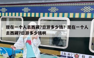 現在一個人去西藏7日游多少錢？現在一個人去西藏7日游多少錢啊