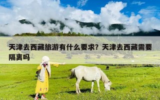 天津去西藏旅游有什么要求？天津去西藏需要隔離嗎