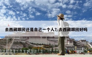 去西藏跟團還是自己一個人？去西藏跟團好嗎