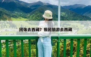 團體去西藏？報團旅游去西藏
