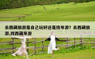 去西藏旅游是自己玩好還是找導游？去西藏旅游,找西藏導游