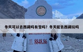 冬天可以去西藏嗎有雪嗎？冬天能去西藏玩嗎