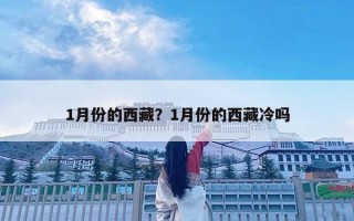 1月份的西藏？1月份的西藏冷嗎