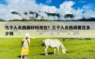 幾個(gè)人去西藏好嗎現(xiàn)在？三個(gè)人去西藏要花多少錢