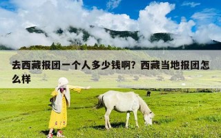 去西藏報團一個人多少錢??？西藏當地報團怎么樣