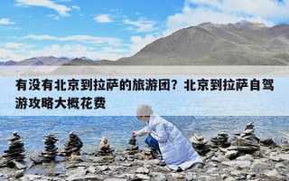 有沒有北京到拉薩的旅游團？北京到拉薩自駕游攻略大概花費