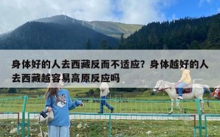 身體好的人去西藏反而不適應？身體越好的人去西藏越容易高原反應嗎