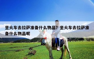 坐火車去拉薩準備什么物品？坐火車去拉薩準備什么物品呢