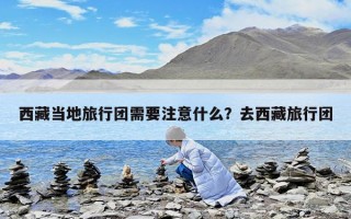 西藏當(dāng)?shù)芈眯袌F(tuán)需要注意什么？去西藏旅行團(tuán)