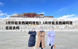 3月份能去西藏嗎現在？3月份能去西藏嗎現在能去嗎