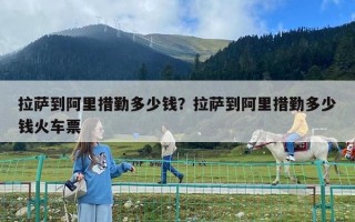 拉薩到阿里措勤多少錢？拉薩到阿里措勤多少錢火車票
