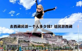 去西藏團游一個人多少錢？組團游西藏