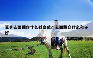 夏季去西藏穿什么鞋合適？去西藏穿什么鞋子好