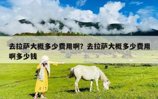 去拉薩大概多少費用啊？去拉薩大概多少費用啊多少錢
