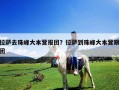 拉薩去珠峰大本營報(bào)團(tuán)？拉薩到珠峰大本營跟團(tuán)