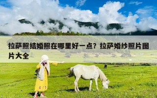 拉薩照結(jié)婚照在哪里好一點？拉薩婚紗照片圖片大全