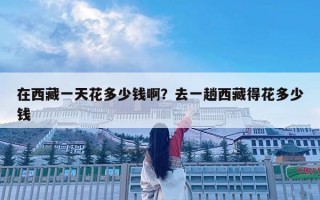 在西藏一天花多少錢啊？去一趟西藏得花多少錢