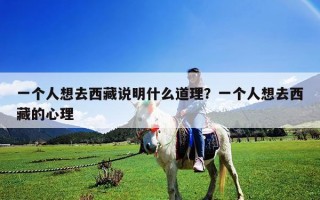 一個人想去西藏說明什么道理？一個人想去西藏的心理