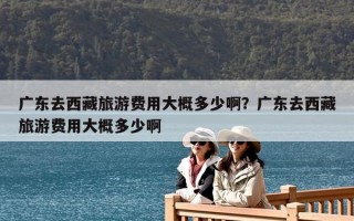 廣東去西藏旅游費用大概多少啊？廣東去西藏旅游費用大概多少啊