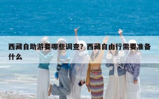 西藏自助游要哪些調查？西藏自由行需要準備什么