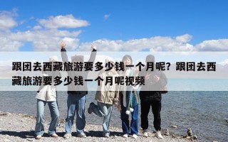 跟團(tuán)去西藏旅游要多少錢一個(gè)月呢？跟團(tuán)去西藏旅游要多少錢一個(gè)月呢視頻