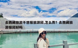 去西藏旅游不想報旅游團,怎么弄？去西藏旅游報團好嗎