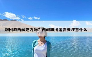 跟團游西藏吃力嗎？西藏跟團游需要注意什么