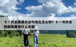 十一月去西藏合適嗎現(xiàn)在怎么樣？十一月份去西藏需要帶什么衣服