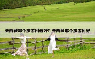 去西藏哪個(gè)旅游團(tuán)最好？去西藏那個(gè)旅游團(tuán)好