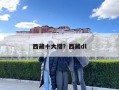 西藏十大措？西藏dl