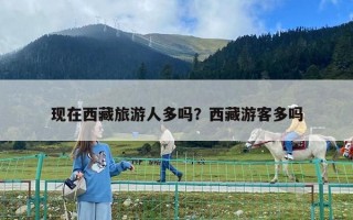 現(xiàn)在西藏旅游人多嗎？西藏游客多嗎