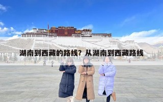湖南到西藏的路線？從湖南到西藏路線
