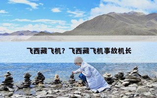 飛西藏飛機？飛西藏飛機事故機長