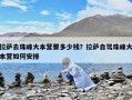 拉薩去珠峰大本營要多少錢？拉薩自駕珠峰大本營如何安排