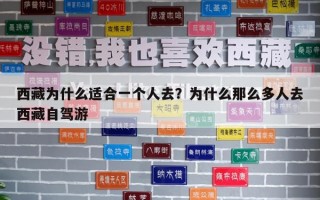 西藏為什么適合一個人去？為什么那么多人去西藏自駕游