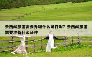去西藏旅游需要辦理什么證件呢？去西藏旅游需要準備什么證件