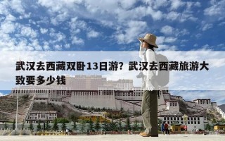 武漢去西藏雙臥13日游？武漢去西藏旅游大致要多少錢